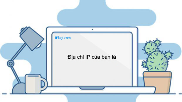IP là gì